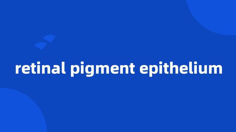 retinal pigment epithelium