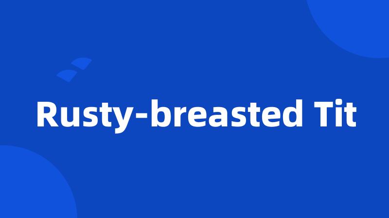 Rusty-breasted Tit