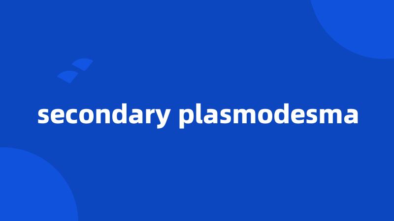 secondary plasmodesma