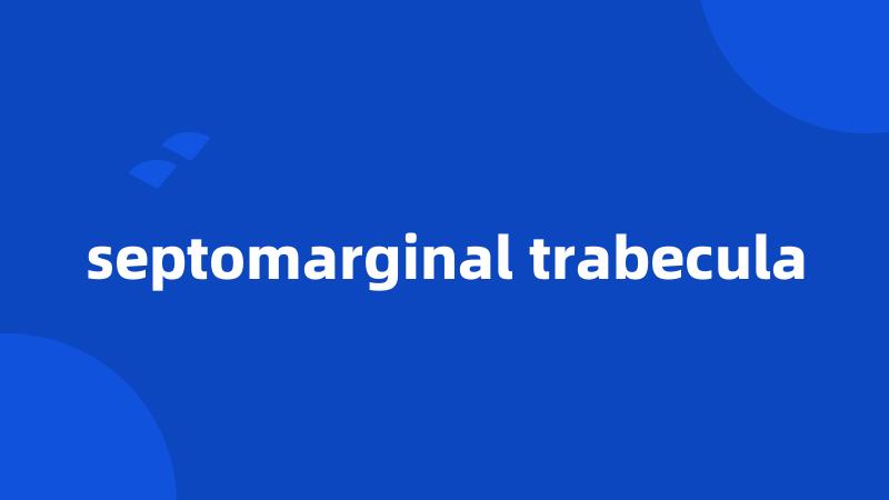 septomarginal trabecula