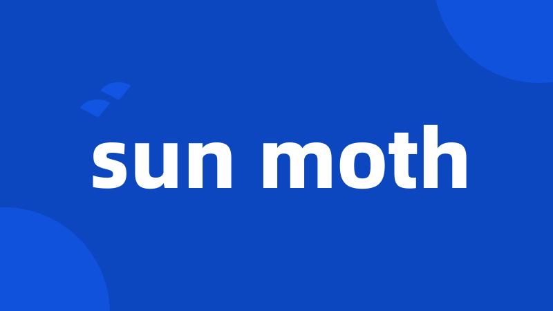 sun moth