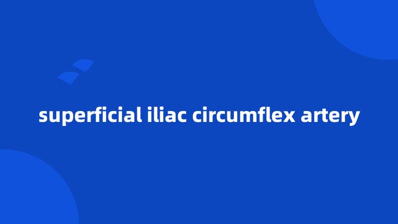 superficial iliac circumflex artery