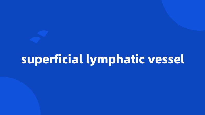 superficial lymphatic vessel