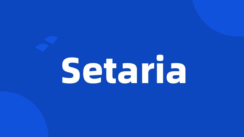 Setaria