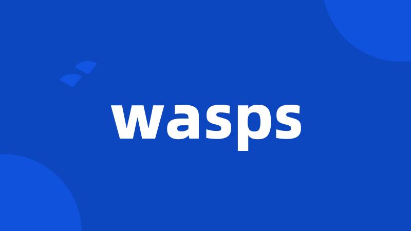 wasps