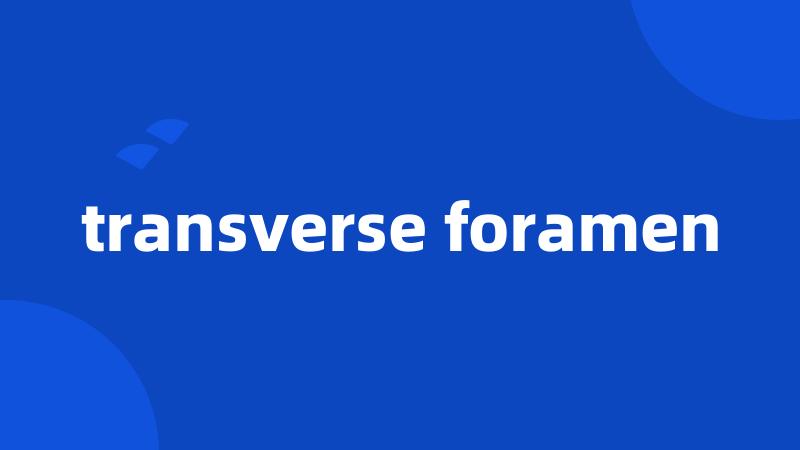 transverse foramen