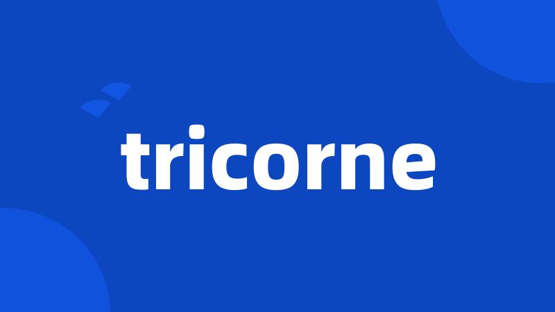 tricorne