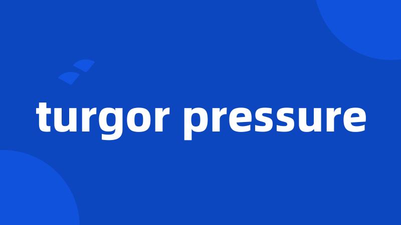 turgor pressure