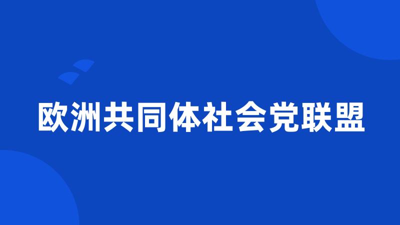 欧洲共同体社会党联盟