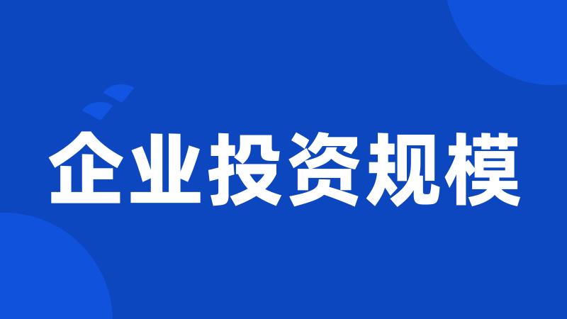 企业投资规模