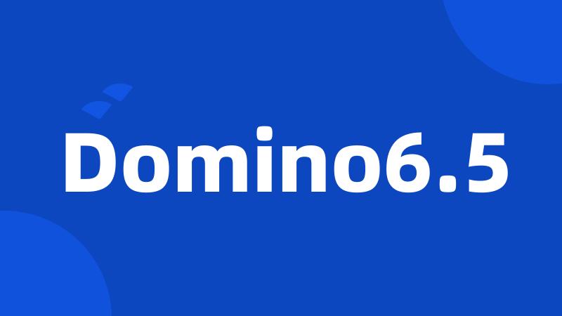 Domino6.5