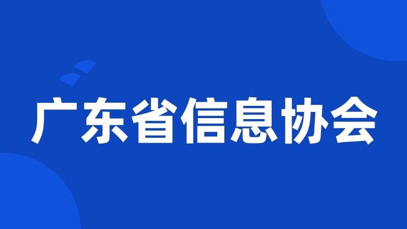 广东省信息协会