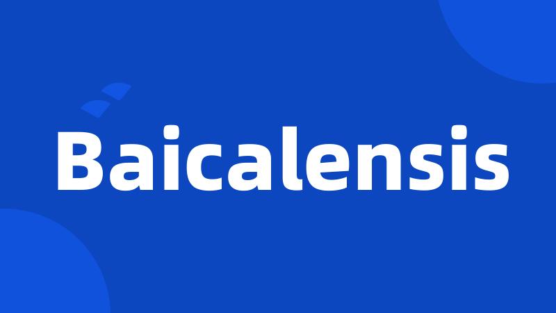 Baicalensis