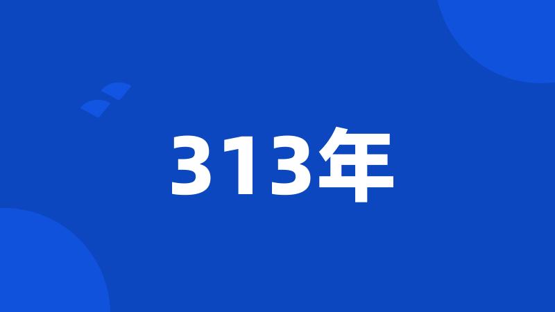 313年