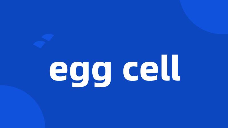 egg cell