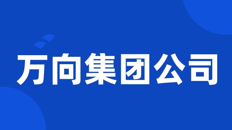 万向集团公司