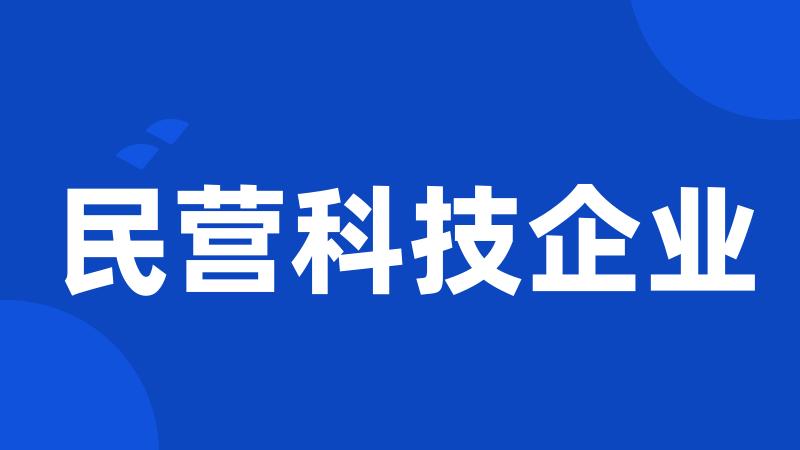 民营科技企业