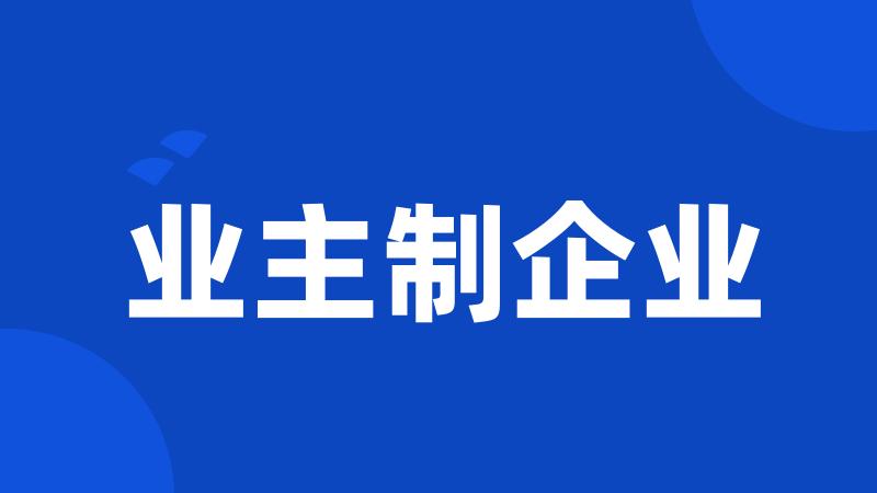 业主制企业