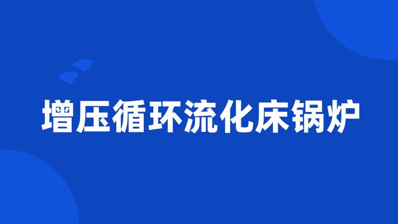 增压循环流化床锅炉