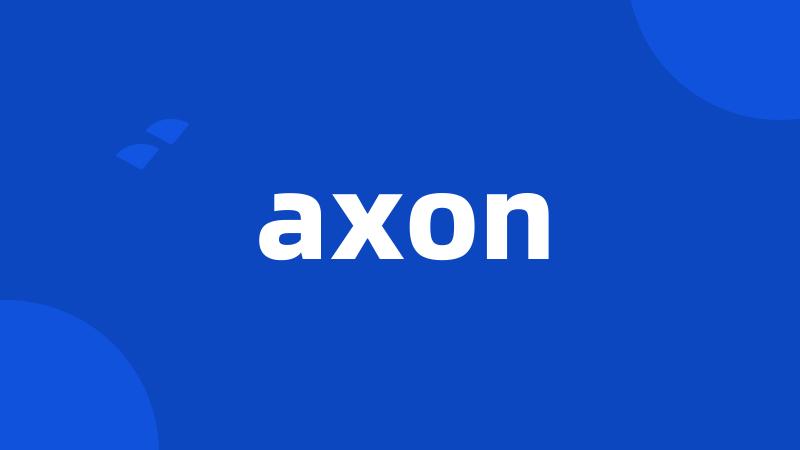 axon