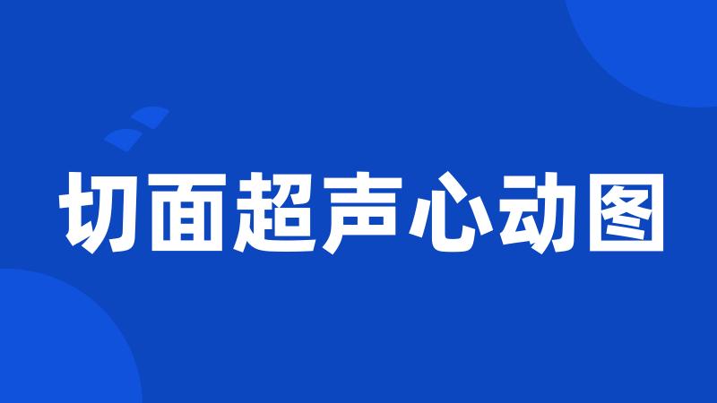 切面超声心动图