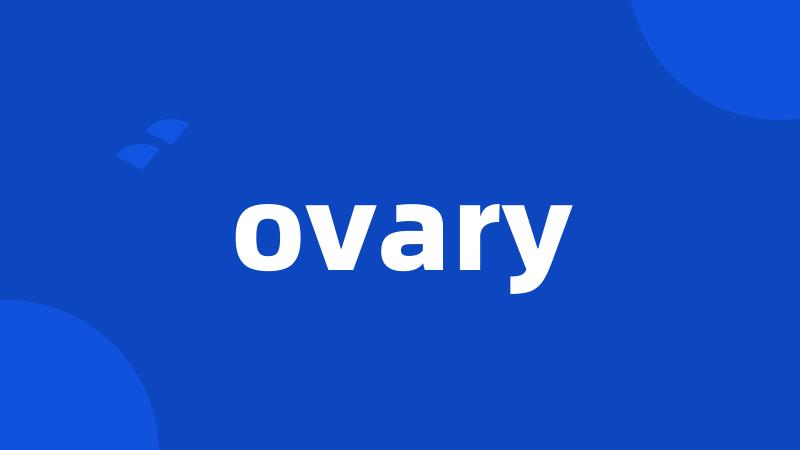 ovary