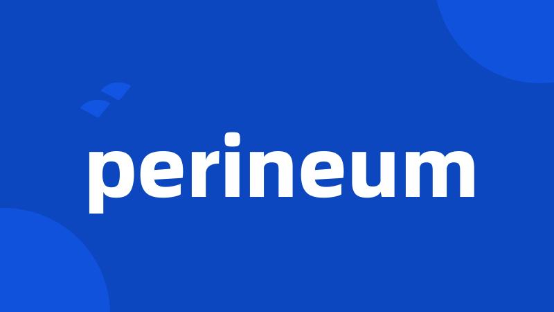 perineum