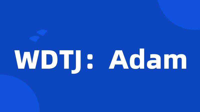 WDTJ：Adam