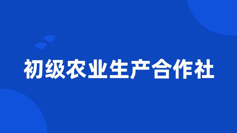 初级农业生产合作社