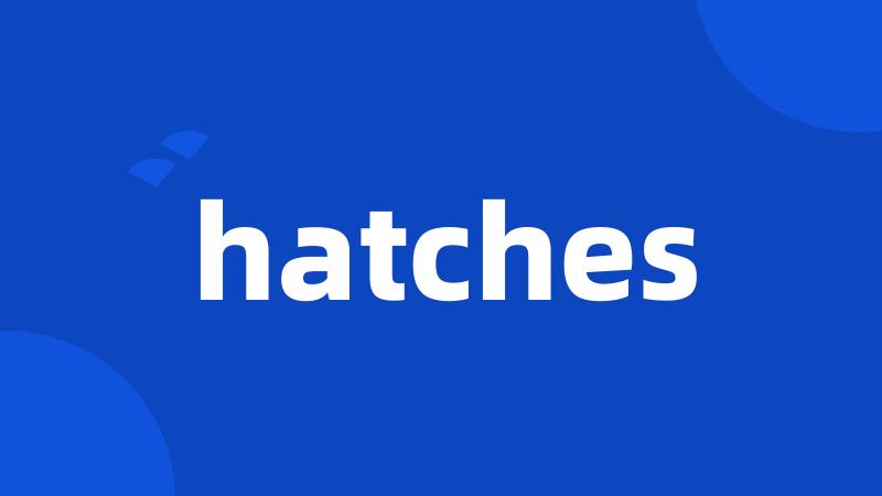 hatches