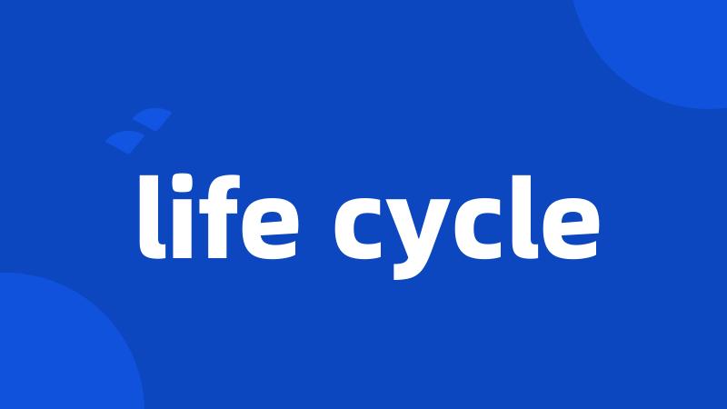 life cycle