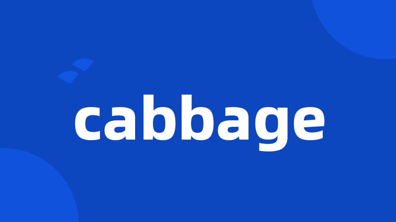 cabbage