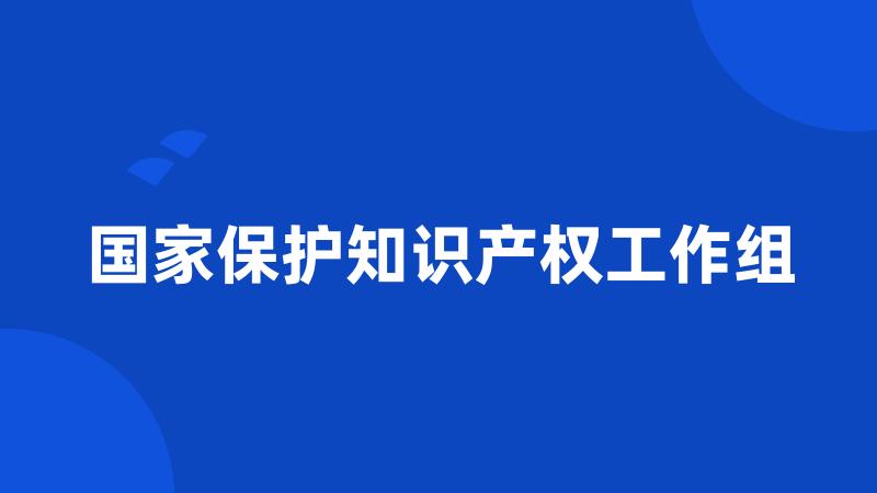 国家保护知识产权工作组