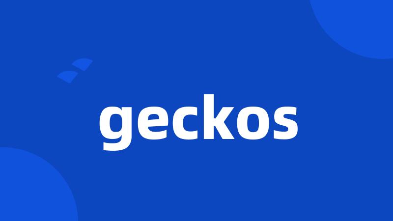 geckos