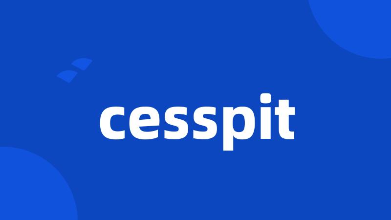 cesspit