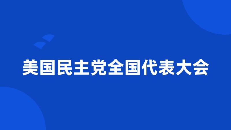 美国民主党全国代表大会