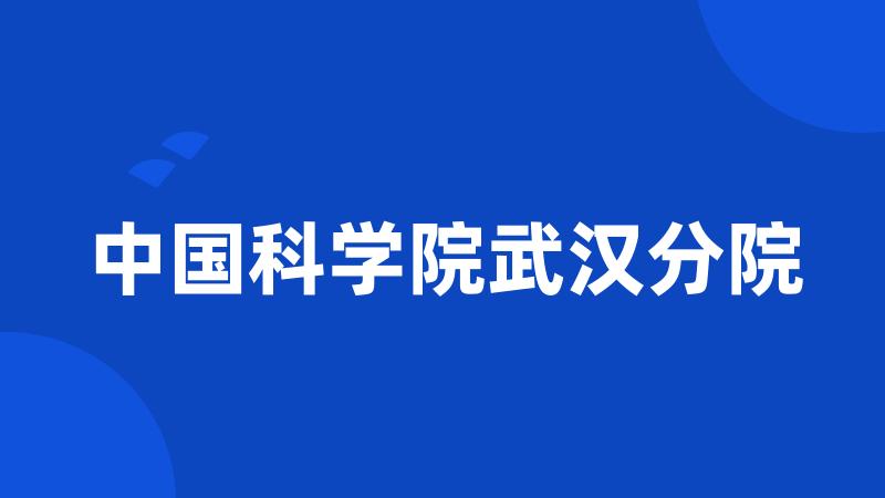 中国科学院武汉分院