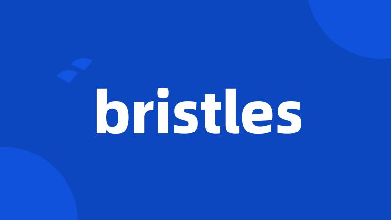 bristles