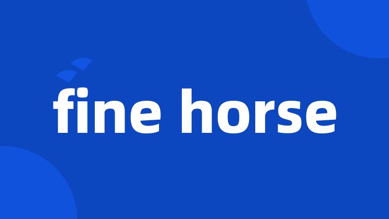 fine horse