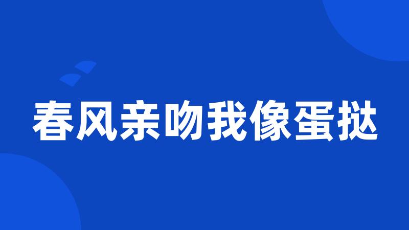 春风亲吻我像蛋挞