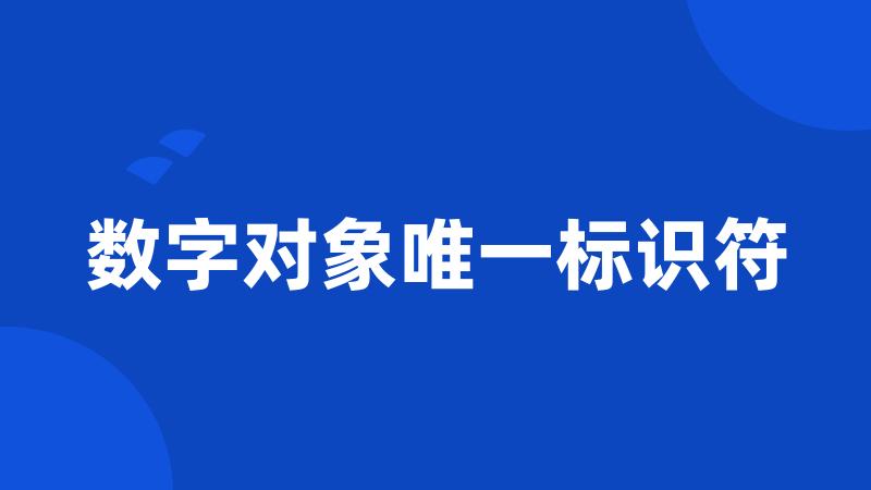 数字对象唯一标识符