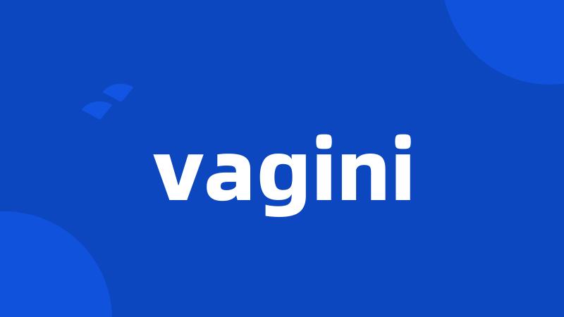 vagini