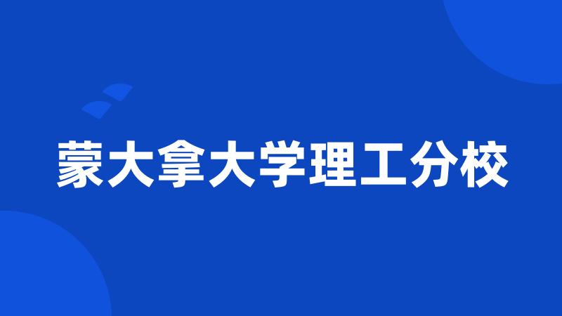 蒙大拿大学理工分校