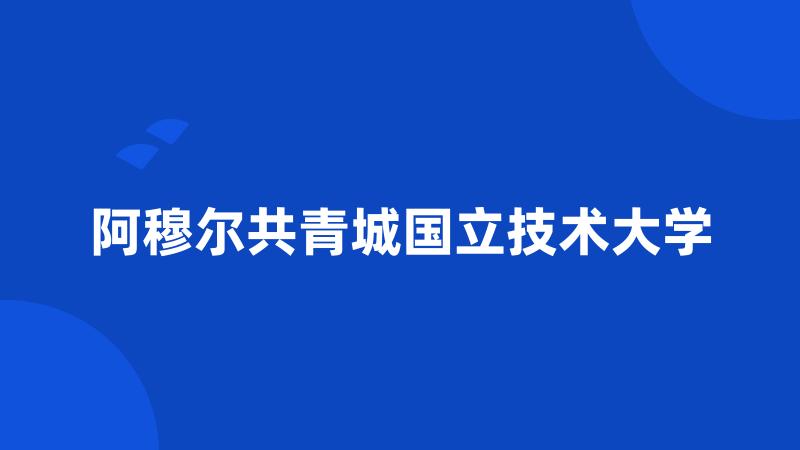 阿穆尔共青城国立技术大学