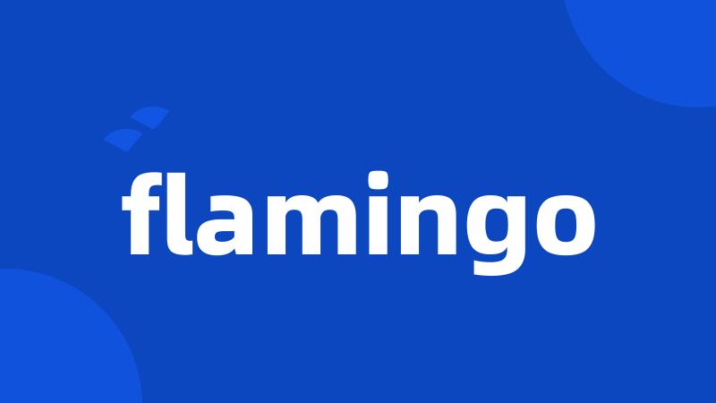 flamingo