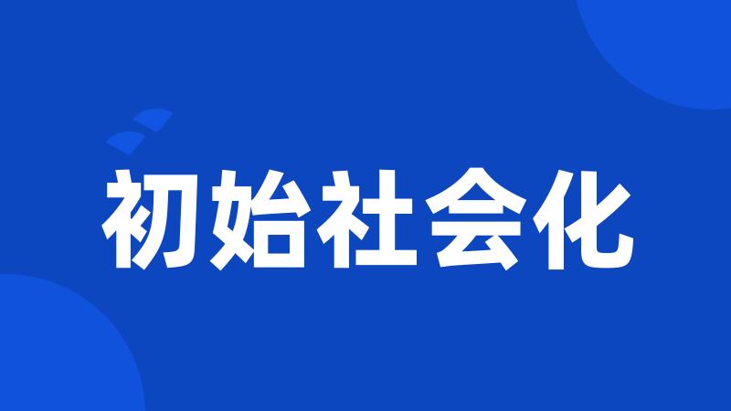 初始社会化