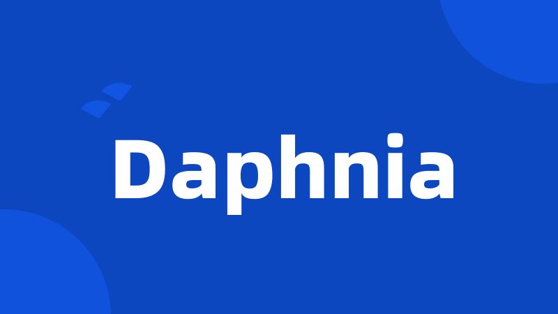 Daphnia