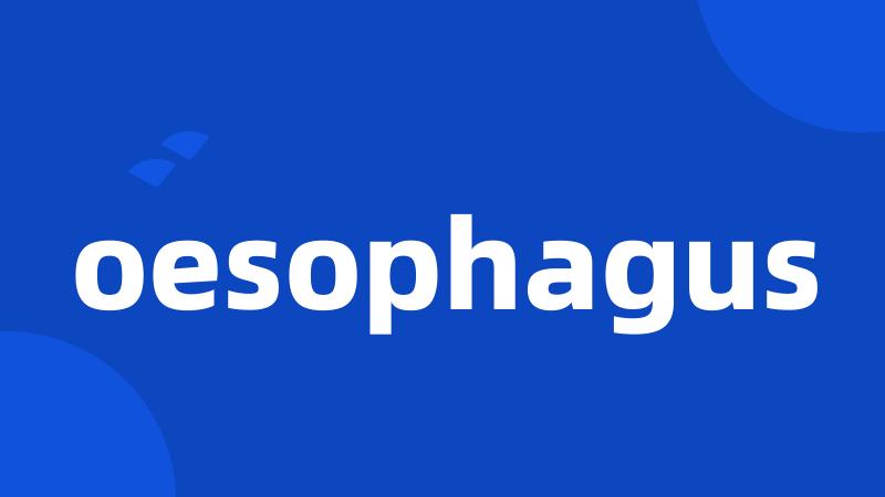 oesophagus