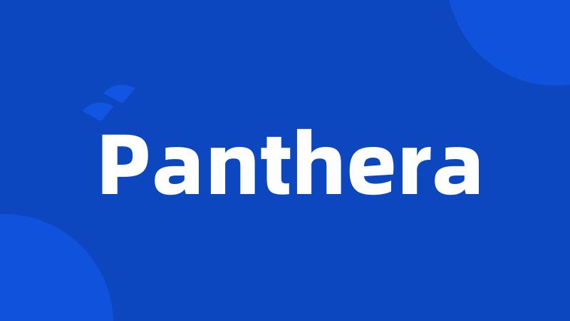 Panthera