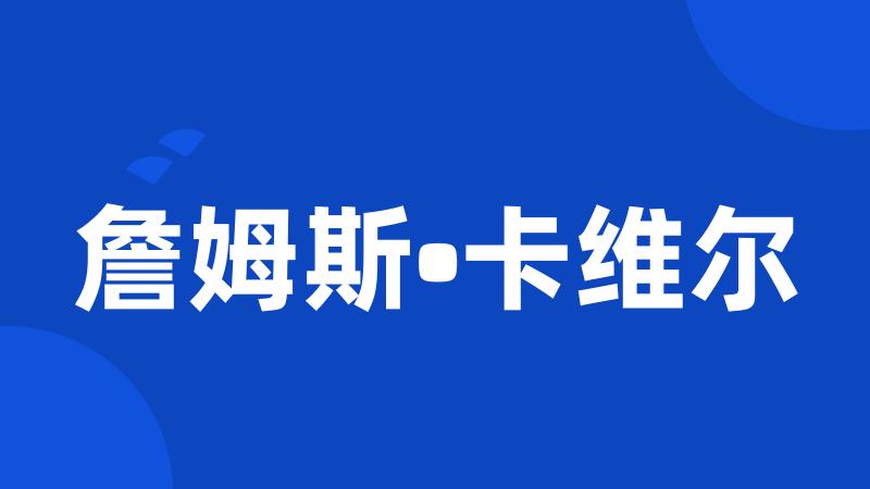 詹姆斯•卡维尔